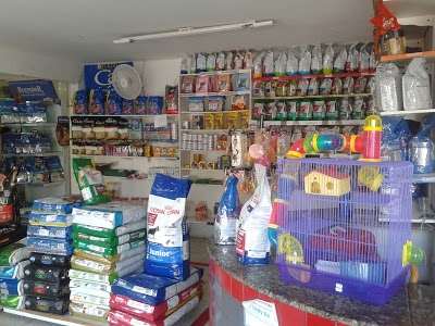 Pet Shop 24 Horas Perto de Mim Endereço Cagi Caixa D Agência - Pet Shop  Cães e Gatos - Hospital Veterinário Du Pet Clínica Veterinária 24 Horas em  Lauro de Freitas